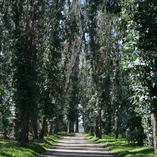 Guest Entrance to Dune Lakes Wedding Venue, Arroyo Grande, CA